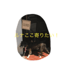 ルナのスタンプ（個別スタンプ：8）