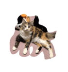 色々なきなこ（個別スタンプ：1）