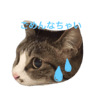 ランラン①（個別スタンプ：2）