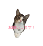 ランラン①（個別スタンプ：7）