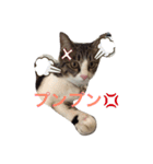 ランラン①（個別スタンプ：8）