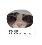 ランラン①（個別スタンプ：13）