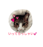 ランラン①（個別スタンプ：14）