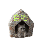 あさり3（個別スタンプ：1）