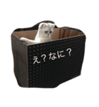 あさり3（個別スタンプ：2）