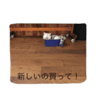 あさり3（個別スタンプ：3）
