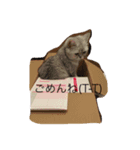 あさり1（個別スタンプ：4）
