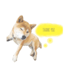 ケンタくんシリーズ①（個別スタンプ：1）