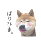 ケンタくんシリーズ①（個別スタンプ：4）