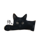 うちの黒猫 豪ちゃんスタンプ（個別スタンプ：8）