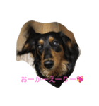 めろぴのもか（個別スタンプ：3）