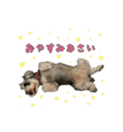 鼻でかナツ（個別スタンプ：14）