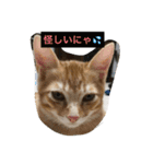 茶トラ君の独り言（個別スタンプ：18）