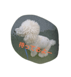 オレはプー3（個別スタンプ：1）