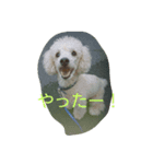 オレはプー3（個別スタンプ：2）
