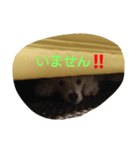 オレはプー3（個別スタンプ：6）
