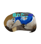 オレはプー3（個別スタンプ：7）