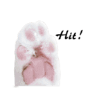 Black and White Cat Cat Cat（個別スタンプ：14）