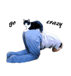 Black and White Cat Cat Cat（個別スタンプ：20）