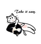 Black and White Cat Cat Cat（個別スタンプ：30）