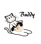Black and White Cat Cat Cat（個別スタンプ：31）