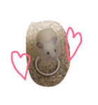 ハムスターの日常♡（個別スタンプ：2）