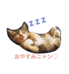 猫サマ＆犬コロ（個別スタンプ：2）