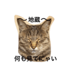猫サマ＆犬コロ（個別スタンプ：12）