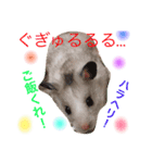 めろんさんとゆかいな仲間（個別スタンプ：2）