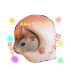 めろんさんとゆかいな仲間（個別スタンプ：5）