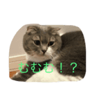 バニラんのスタンプ（個別スタンプ：2）