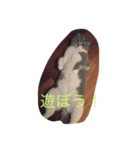 バニラんのスタンプ（個別スタンプ：3）
