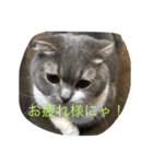 バニラんのスタンプ（個別スタンプ：4）