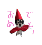 てっくんの日常。（個別スタンプ：6）