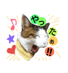 猫舌にゃんずニャン友達1（個別スタンプ：4）
