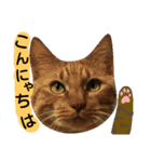 猫舌にゃんずニャン友達1（個別スタンプ：6）