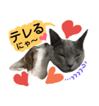 猫舌にゃんずニャン友達1（個別スタンプ：10）