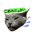 猫舌にゃんずニャン友達1（個別スタンプ：11）