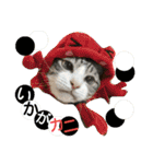 猫舌にゃんずニャン友達1（個別スタンプ：16）