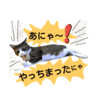 猫舌にゃんずニャン友達1（個別スタンプ：18）
