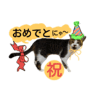 猫舌にゃんずニャン友達1（個別スタンプ：31）