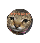 ちゅら猫スタンプ（個別スタンプ：12）