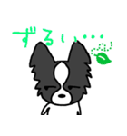 パピヨンのテツ君とキンちゃん。（個別スタンプ：10）
