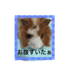 もるのすたんぷ（個別スタンプ：4）