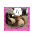 もるのすたんぷ（個別スタンプ：7）