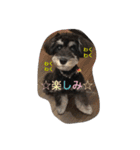 おスミの日常（個別スタンプ：14）
