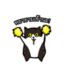 1st Cat（個別スタンプ：2）