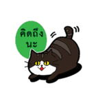 1st Cat（個別スタンプ：3）