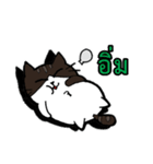 1st Cat（個別スタンプ：7）