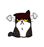1st Cat（個別スタンプ：9）
